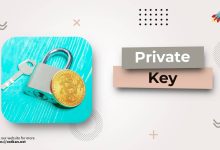An image describing the blockchain public and private key