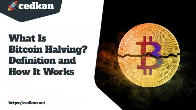 An infographic explaining what the Bitcoin halving is.